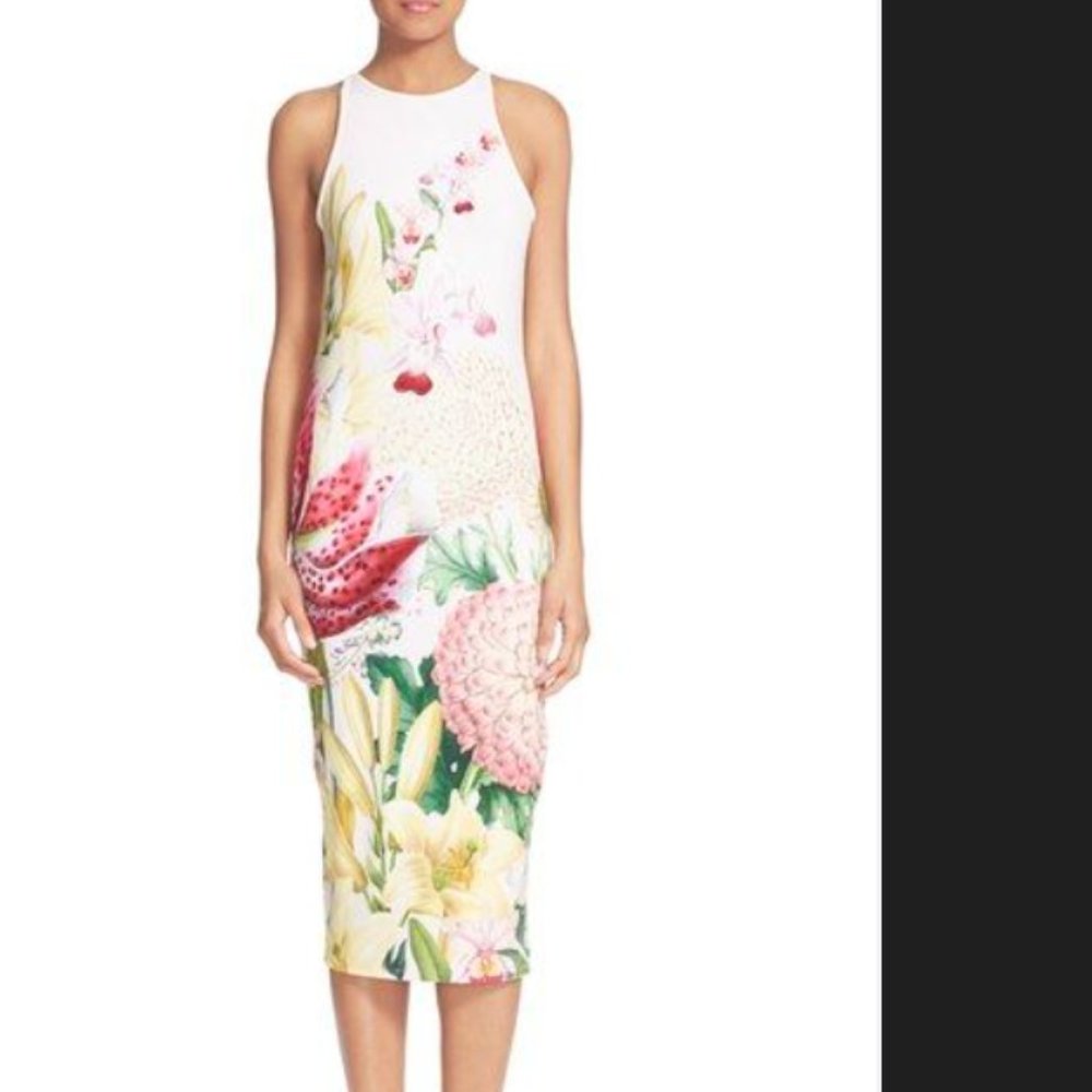 Ted Baker London Julee Floral-Print Midi Dress, Nude Pink 2 US Size 6